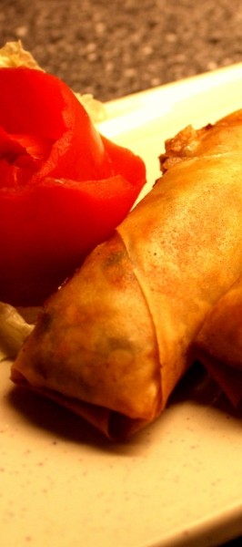 Home Made Spring Rolls